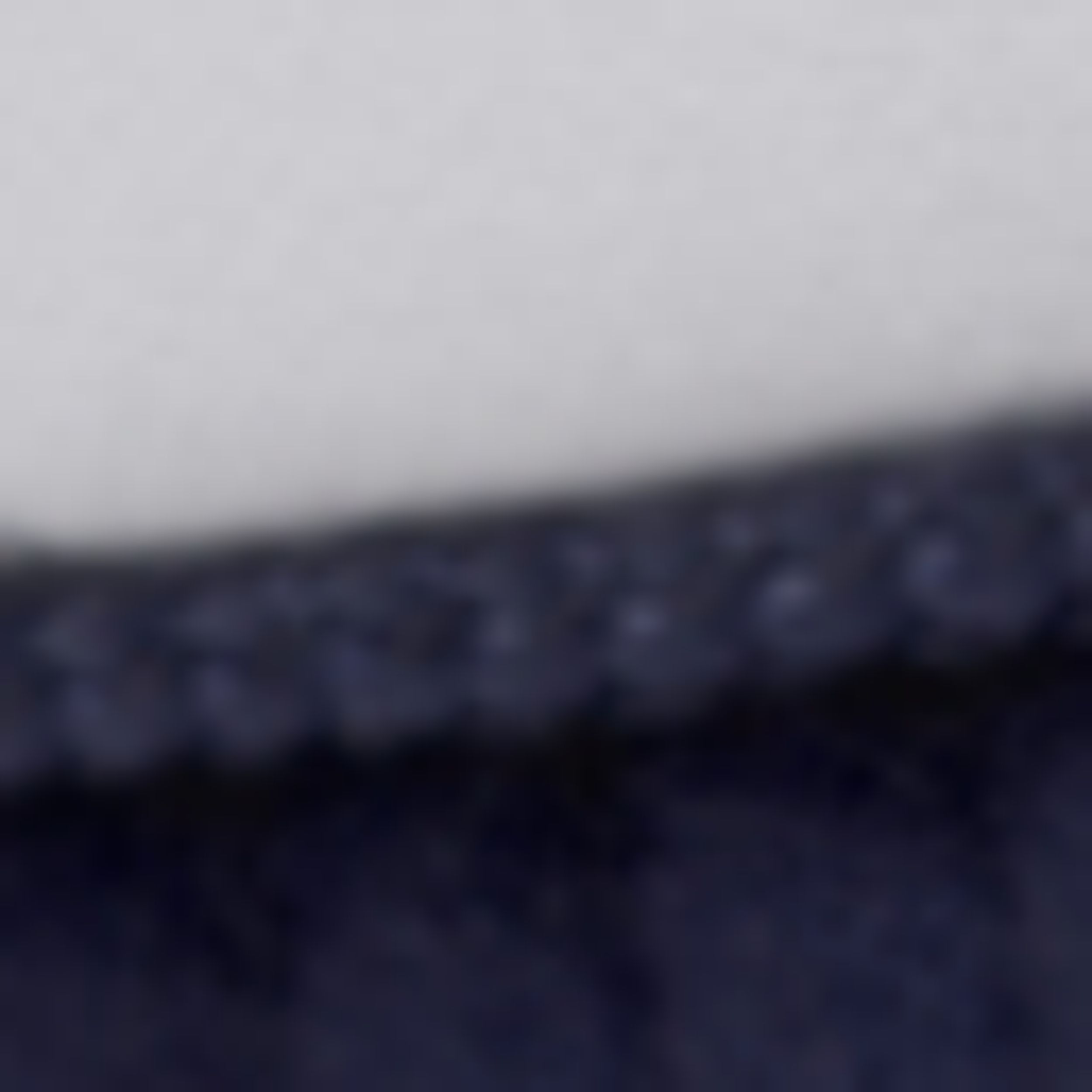Navy/White/Navy