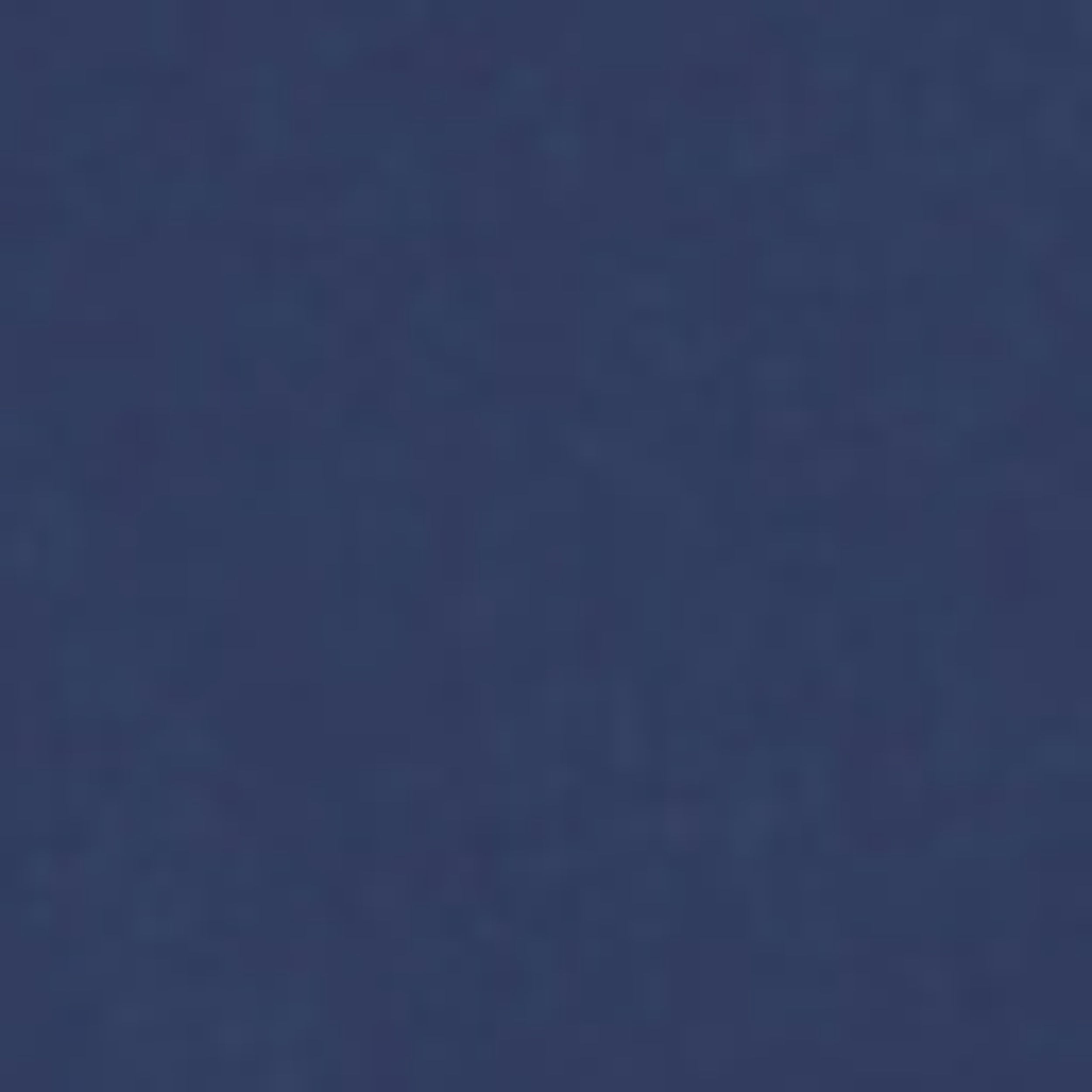 Sport Dark Navy