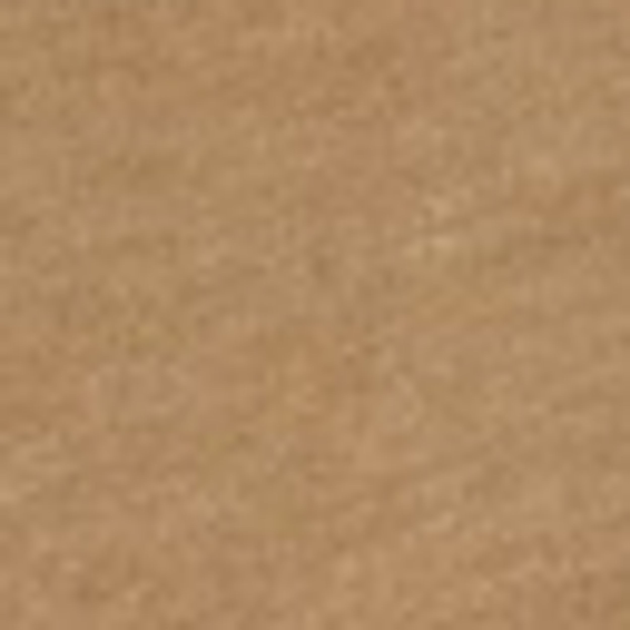 Vintage Coyote Brown