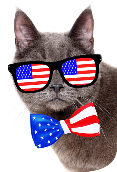 American Cat With USA Glasses And Bow Tie Toddler T-Shirt