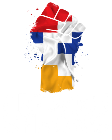Armenian Protest Artsakh Strong Flag Colors Fist Toddler Hoodie