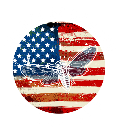 Cicadas Sounds Of Summer In The USA Flag Coaster