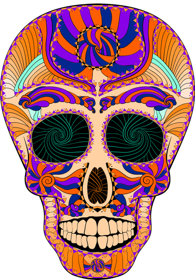 Dia de Muertos Mexican Skull Kids Long Sleeve Shirt