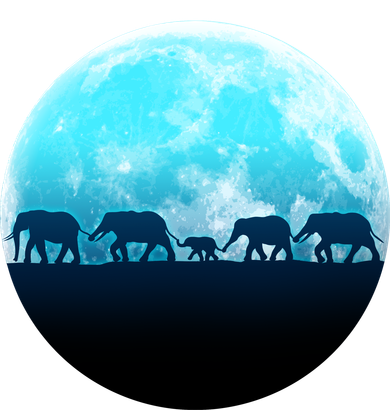 Full Moon With Elephant Family Women's Hoodie