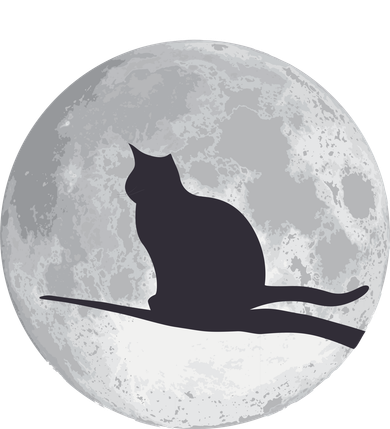 Full Moon Cat Silhouette Halloween Women's Hoodie