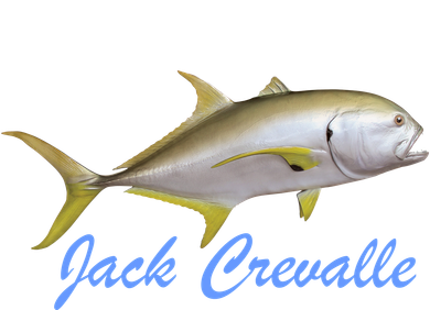 Jack Crevalle Baby Bodysuit