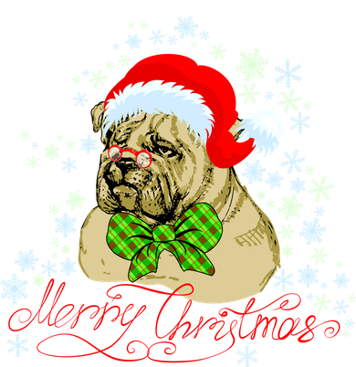 Merry Christmas Santa Pug Women's Long Sleeve Shirt