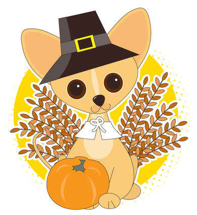 Cute Thanksgiving Pilgrim Puppy Women's T-Shirt