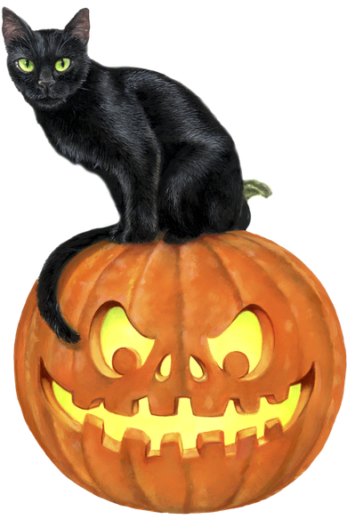 Black Cat Jack O' Lantern Pumpkin Women's Long Sleeve Shirt