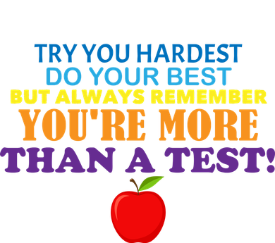 You're More Than A Test T-Shirt