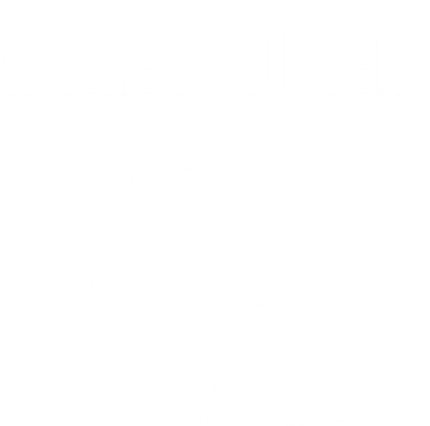 Where Is Hunter Political Humor Pro Trump Ornament
