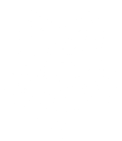Modern Wolf Face Symbol Kids T-Shirt