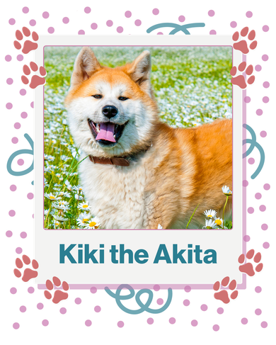 Custom Dog Pet Personalized Picture Button