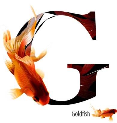Letter G is for Goldfish Coaster