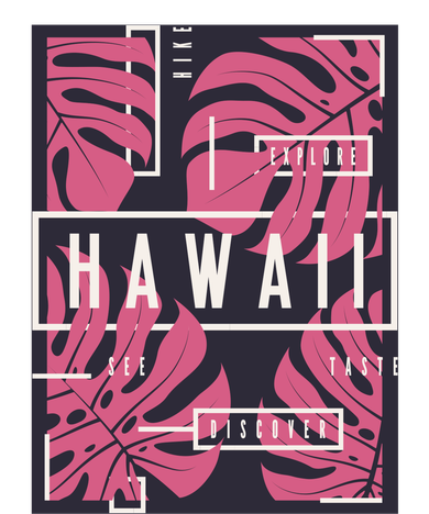 Hawaii Vibes Classic  Santa Hat