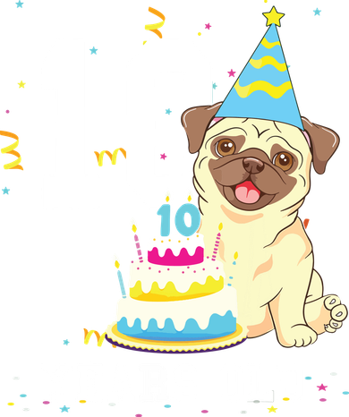 10 Years Old Birthday Pug Dog Lover Party Kids Boy Girl T-Shirt