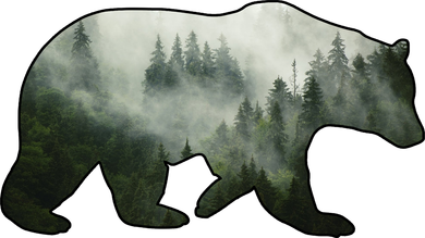 Bear Misty Forest Wilderness T-Shirt