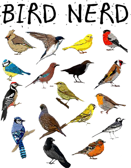 Birds
