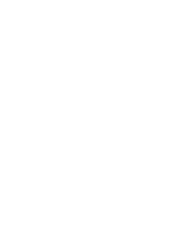 Cool Skydiving Art For Men Women Skydive Parachute Skydiver T-Shirt