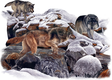 Wildlife Wolf Creek T-Shirt