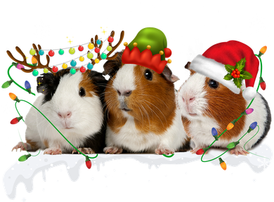Guinea Pigs With Christmas Lights And Santa Hat Cute Xmas Baby Bodysuit
