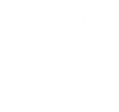 Hook Em Horns Texas State Longhorns Backpack