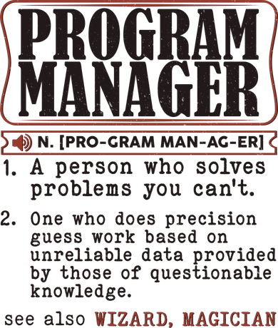 Program Manager Definition Port Authority Basic Backpack