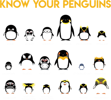 Penguin Species Know Your Penguins Gift T-Shirt