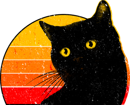 Black cats