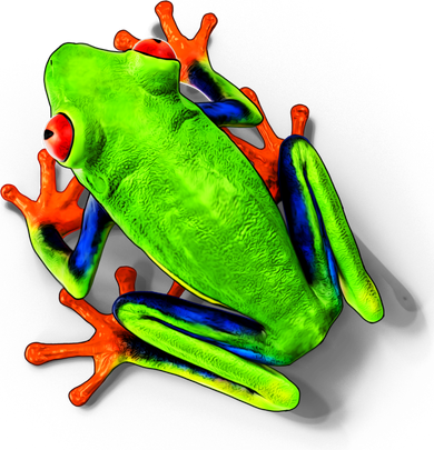 Vibrant Frog T-Shirt