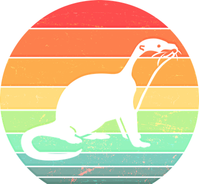 Vintage Sea Otter  T-Shirt