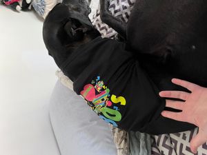 T-Shirt Palace Review