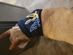 T-Shirt Palace Review