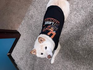 T-Shirt Palace Review