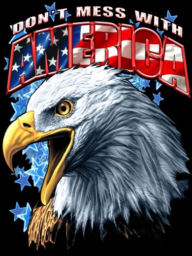 Don't Mess With America Eagle Poster