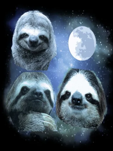 Three Sloths and Moon Night Poster