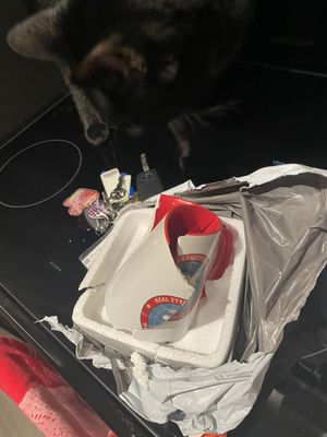 T-Shirt Palace Review