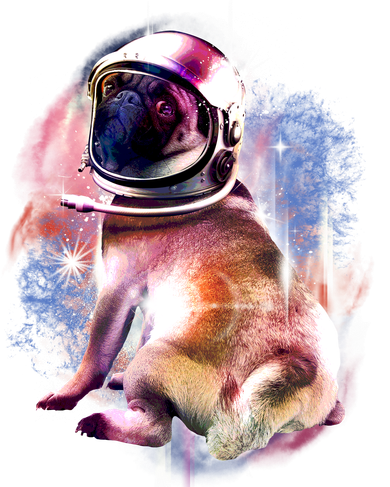 Space Pug Wearing Helmet Kids Sweatshirt