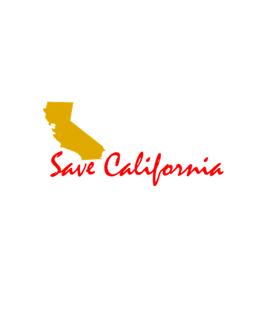 Vote Larry Elder Save California Kids Hoodie