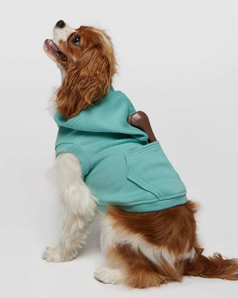 Doggie 3-End Fleece Hoodie size chart