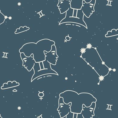 Gemini Zodiac Astrology Polo