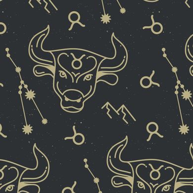 Taurus Zodiac Astrology Polo
