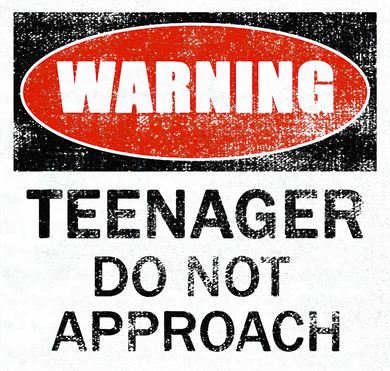 13th Birthday Fun Warning Official Teenager Do Not Approach Kids Hoodie
