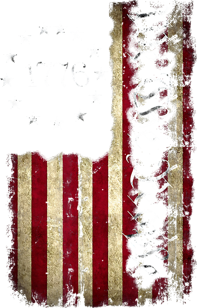 1776 We The People Patriotic American Constitution Doggie Tank