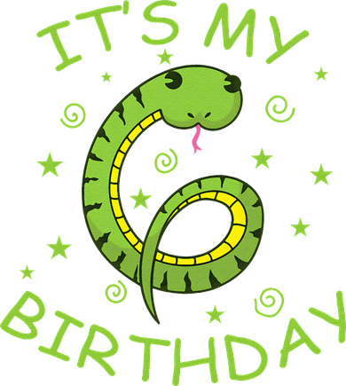 6th Birthday Snake As Number Child Kids Hoodie