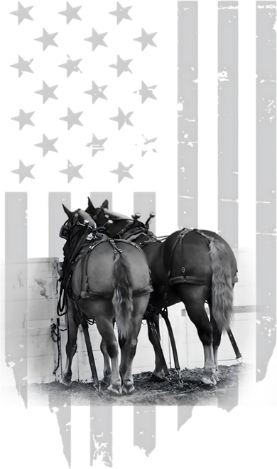 American Flag Belgian Draft Horses Gift For Farmer Meaningful Gift Women's Dry Zone Grid Polo