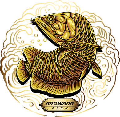 Arowana Fish Gold Coaster