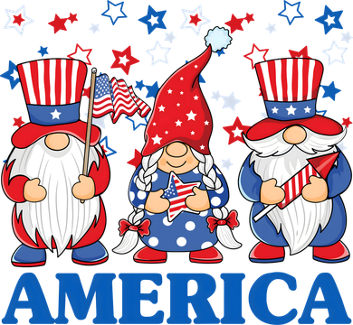 America Gnome 4th Of July Celebration Toddler T-Shirt