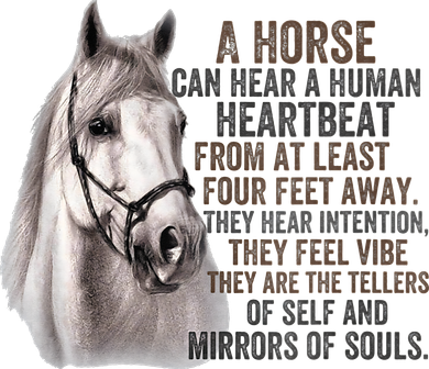 A Horse can hear a human heartbeat Horses mirrors of souls Hat