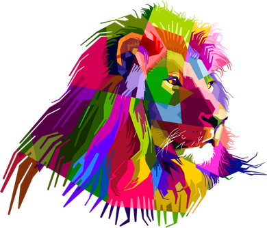 Africa Lion Face Gift Colorful South Animals Safari Hoody Kids Long Sleeve Shirt